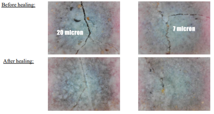 11. A00272737 Self Healing Recycled Fibre Reinforced Cementitious Composite