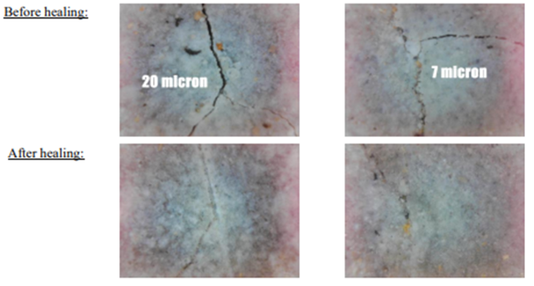 11. A00272737 Self Healing Recycled Fibre Reinforced Cementitious Composite